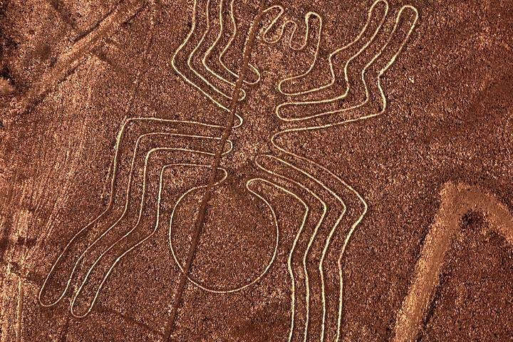 Full Day Nazca Lines, Huacachina Oasis with Buggy and Sandboard