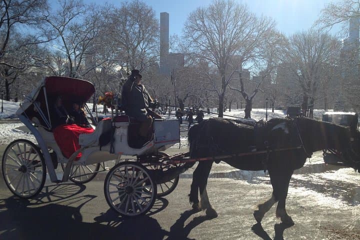 Private Walking Tour: Jewish Colonial History in New York City