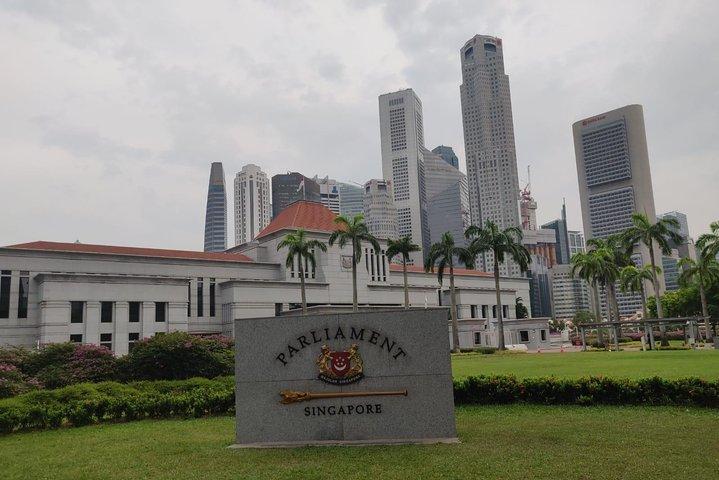 Private Half Day Singapore City Tour with Botanical Orchid Garden