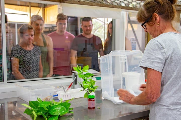 Australian Butterfly Sanctuary