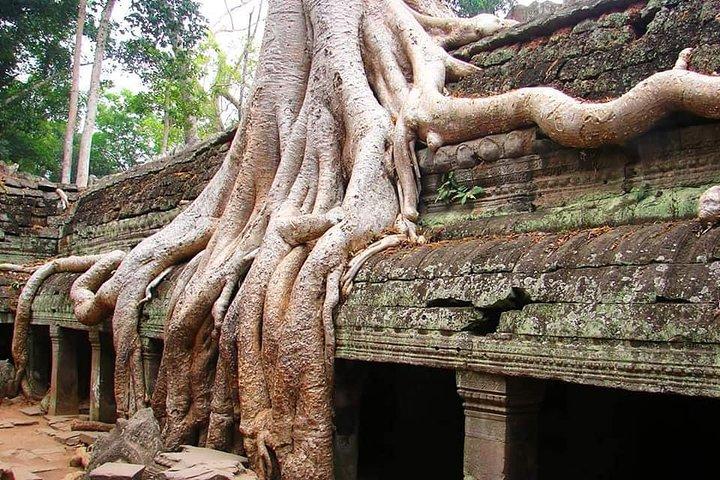Special Three Days Angkor Tour