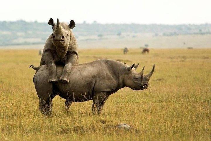 3 day Maasai Mara Adventure Group Safari