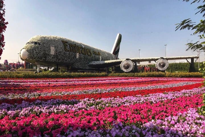 Dubai Miracle Garden Ticket with Transfer