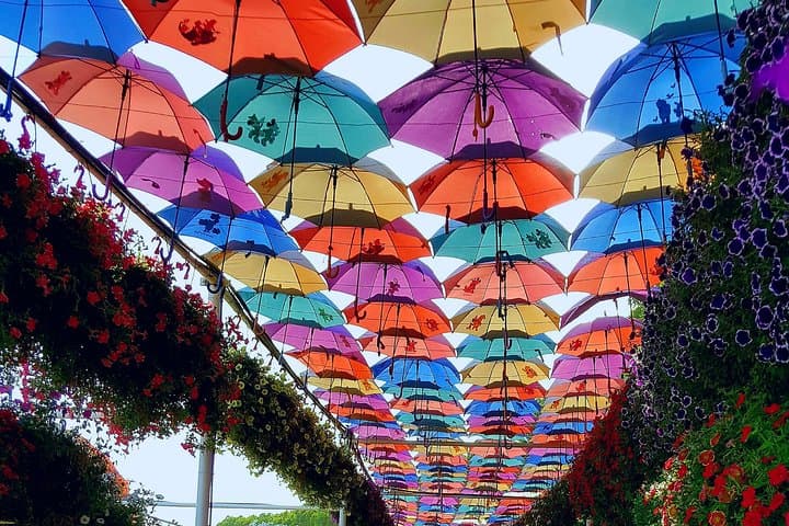 Dubai Miracle Garden Ticket with Transfer