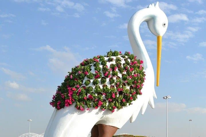 Dubai Miracle Garden Ticket with Transfer
