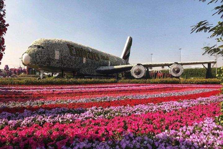 Dubai Miracle Garden Self-Guided Tour with Ticket with Transfer