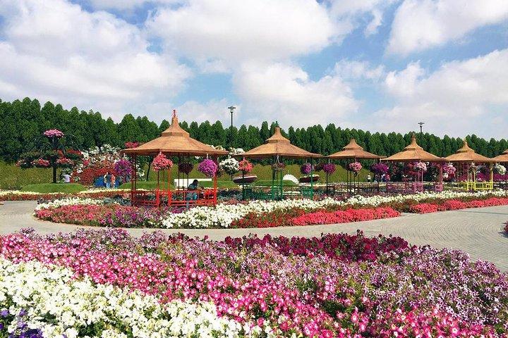 Dubai Miracle Garden Self-Guided Tour with Ticket with Transfer
