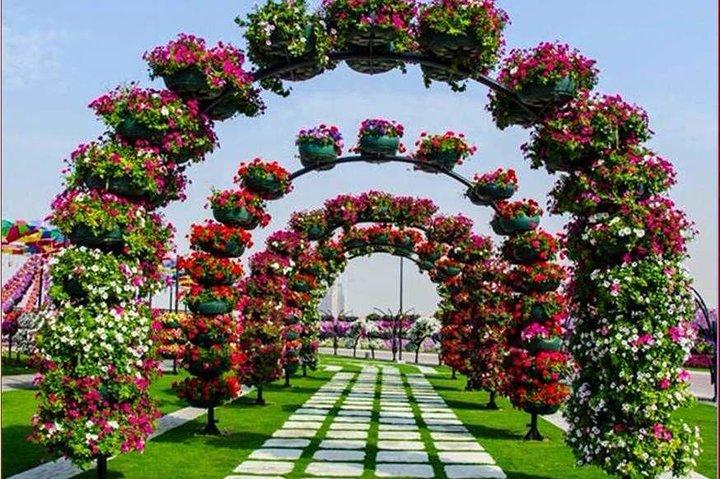 Dubai Miracle Garden Self-Guided Tour with Ticket with Transfer