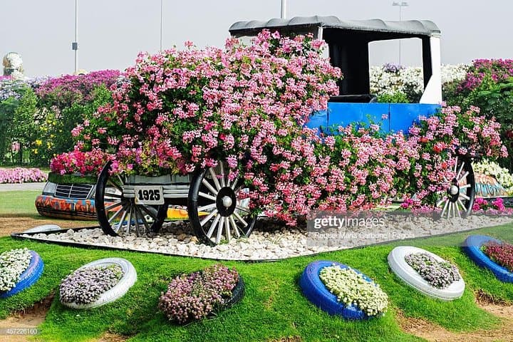 Dubai Miracle Garden Self-Guided Tour with Ticket with Transfer