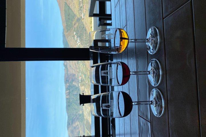 Douro Valley and Porto from Lisbon - Wine and Cheese Tasting