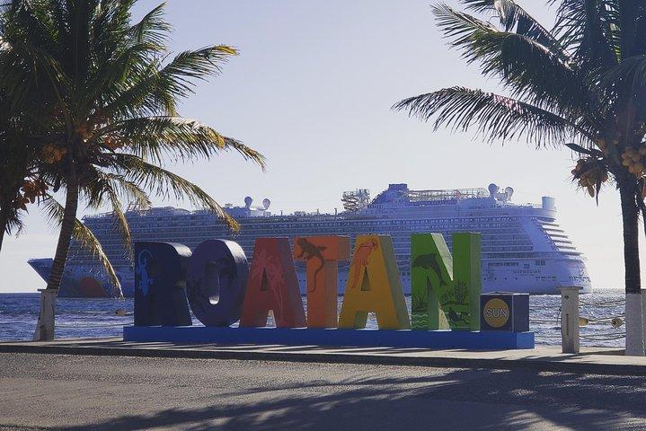 Roatan Monkey and Sloth Tour with Chocolate and Rum Factory