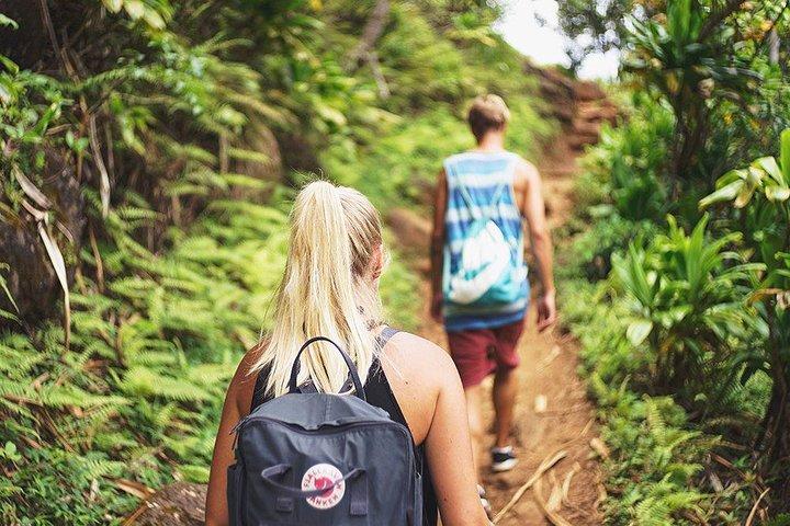 Private Full Day Tour to Nuwara Eliya from Kandy