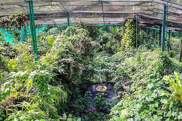 Kuala Lumpur Nature And Gardens Tour