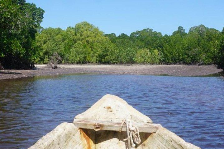 Sunset Mangrove Canoe Tour with Coconut Drink