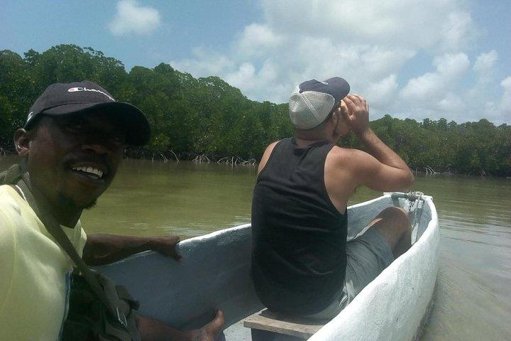 Sunset Mangrove Canoe Tour with Coconut Drink