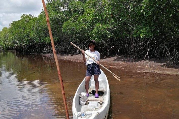 Sunset Mangrove Canoe Tour with Coconut Drink
