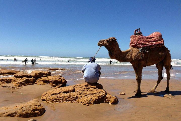 Essaouira Day Trip from Marrakech