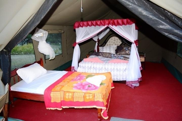 4 Days Masai Mara & Lake Nakuru Group Joining Safari