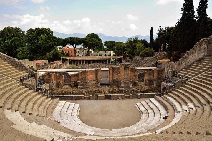 Private Day trip from Rome to Pompeii with official guide inside Ruins