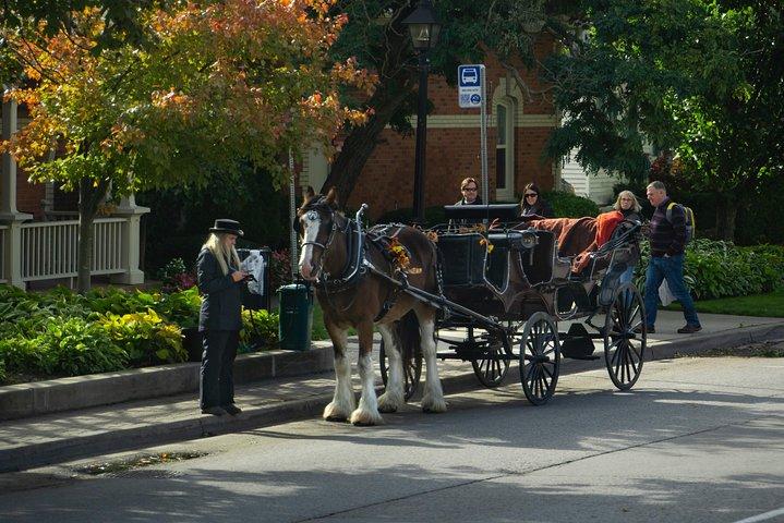 FROM TORONTO: Niagara Day Tour w/ Niagara on the Lake & Boat Ride