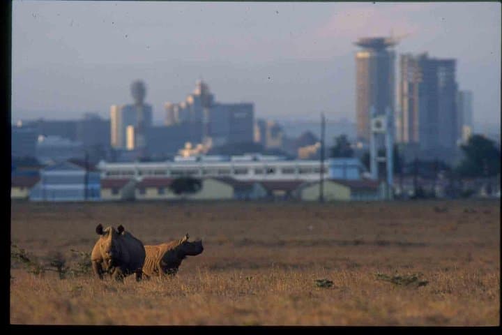 Nairobi National Park, Giraffe center & Beads Factory Guided Day Tour