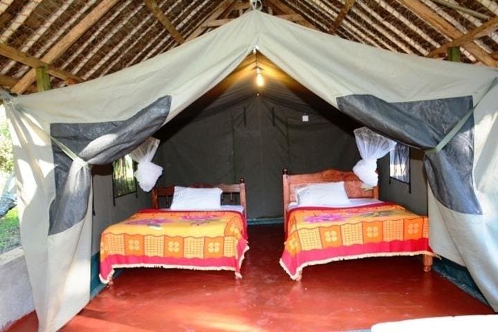 5 Days safari to Maasai Mara ,Lake Nakuru and Hell's gate national park