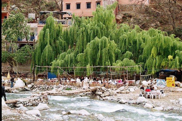 Marrakesh day trip to Atlas Mountains & Ourika Valley