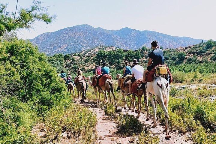 Marrakesh day trip to Atlas Mountains & Ourika Valley