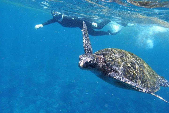 Day Tour to Santa Fe Island and Hidden Beach with snorkeling and fishing