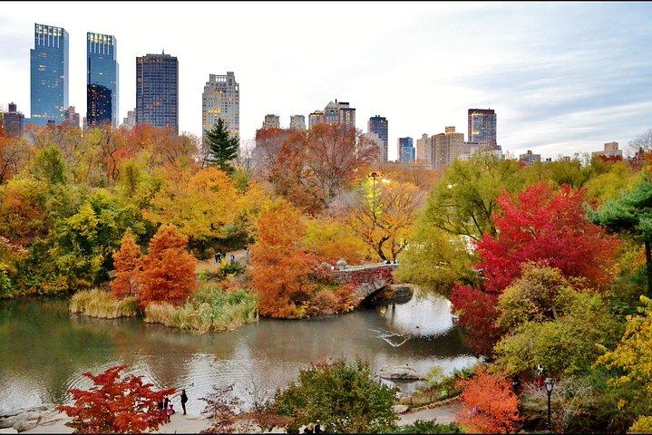 Private Manhattan and Brooklyn Full-Day Tour with Driver-Guide and Vehicle