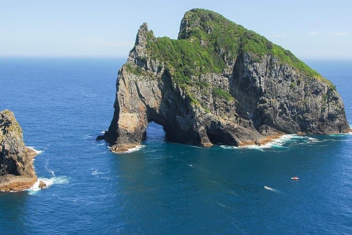 Group tour to Bay of Islands return from Auckland