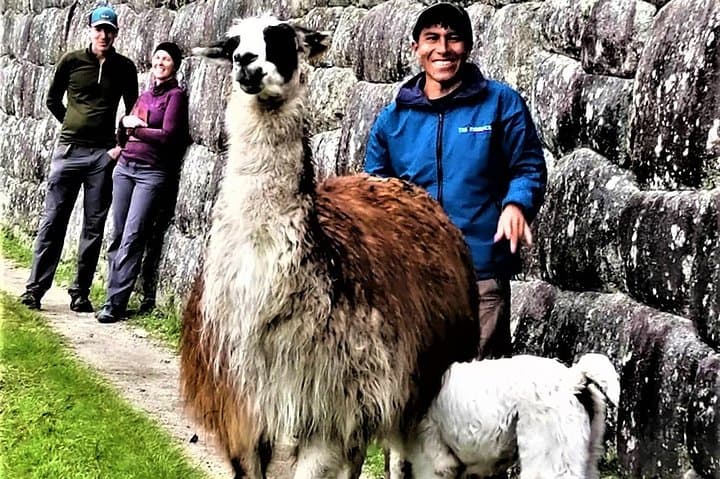 Machu Picchu: Private Tour Guide Service (2–3 Hours)