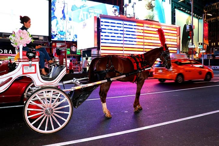 Central Park & Rockefeller Tour (4 Adults)