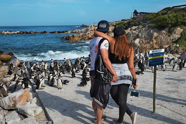 Cape Agulhas Full Day Private Tour from Cape Town