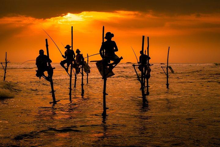 Highlights Of South Srilanka Day Tour From Colombo