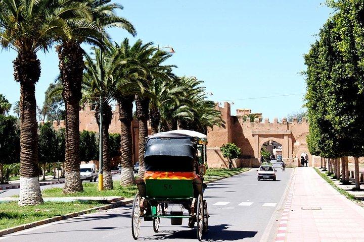 Private Day Trip of Taroudant & Tiout from Agadir