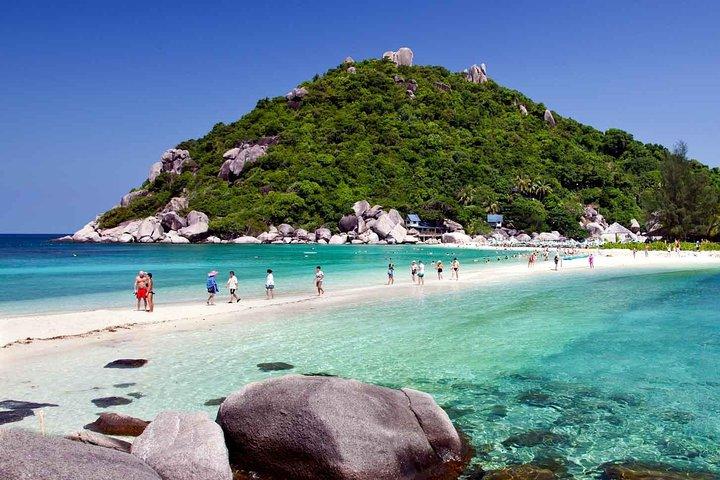 Koh Tao and Koh Nangyuan Snorkeling Tour by Speedboat from Ko Samui