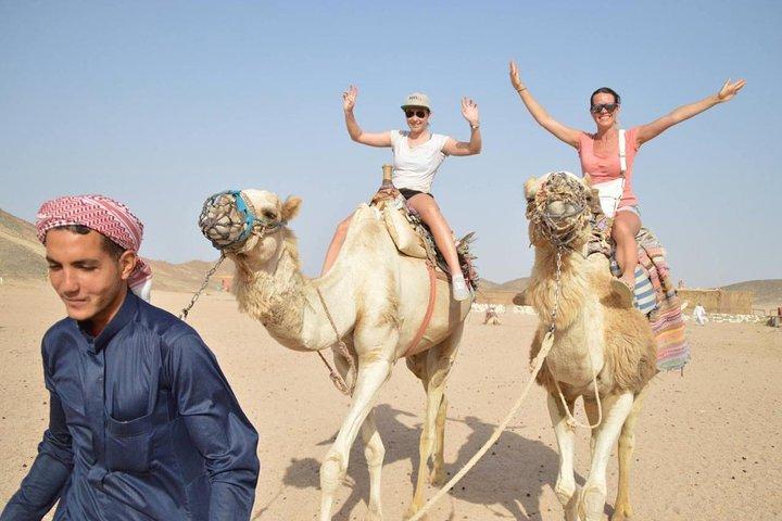 Super Safari Quad Bike, Camel Ride & Bedouin Diner in hurghada