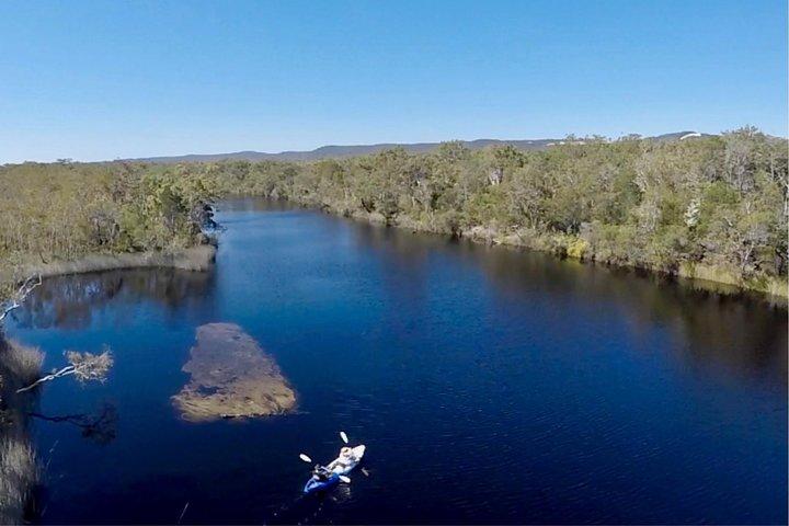 Noosa Everglade Kayak -South/Noosa End - Searching for Stingrays!
