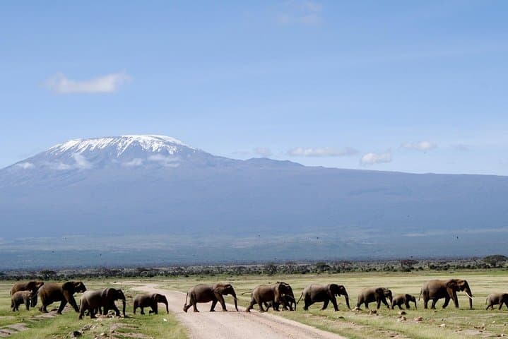 7 Days Tsavo West, Amboseli, Lake Nakuru & Masai Mara Wildlife Safari