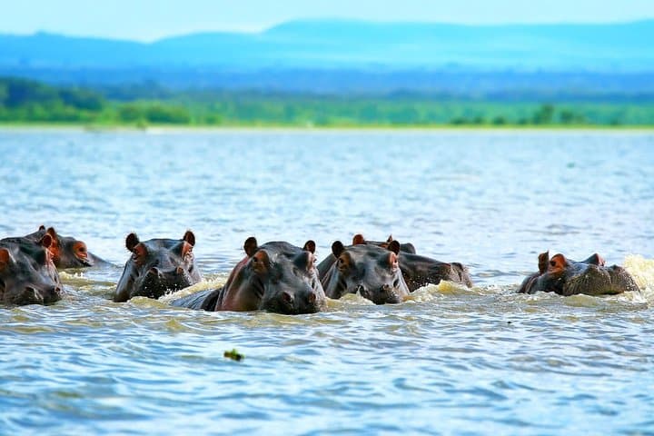 6 Days Samburu Sweetwaters Lake Nakuru & Lake Naivasha Wildlife Safari