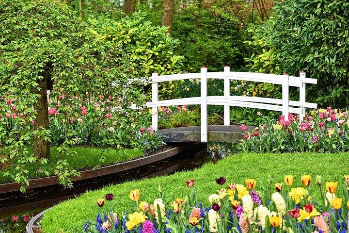 Tour to the Keukenhof Tulip fields from The Hague
