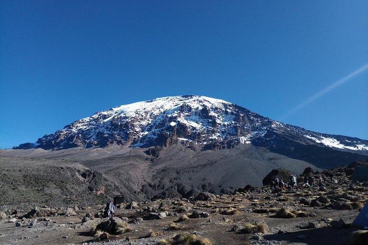 7 days Lemosho route Climbing Mt.Kilimanjaro