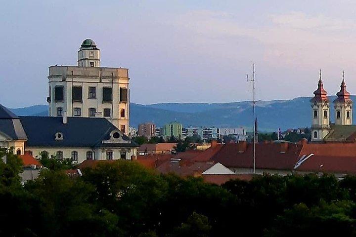 Eger private tour to the home of Bull's Blood wine with taste!