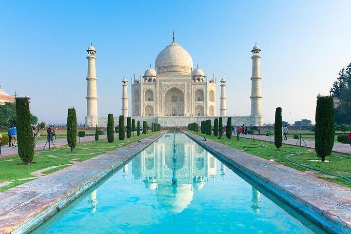 Taj Mahal, Agra Fort, Baby Taj -Local Private Tour Agra