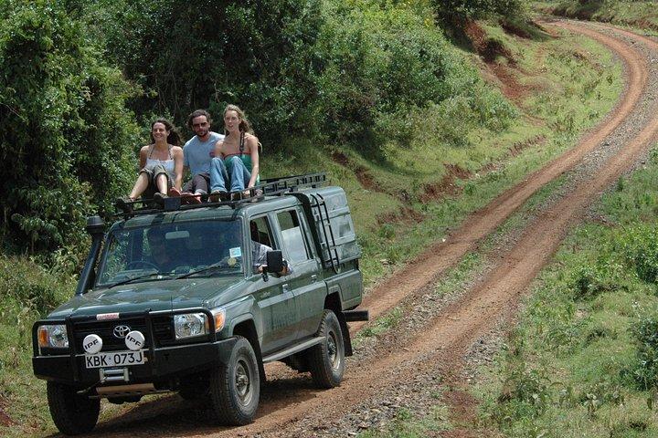 4 Days Aberdares National park & Samburu National Reserve Wildlife Safari