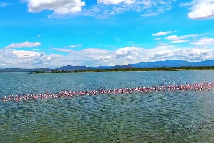 2 Days Lake Elementaita National park Safari