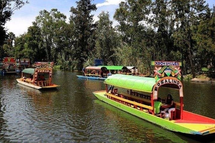Xochimilco - Coyoacan Tour