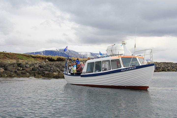 Iceland Super Saver: Puffin Cruise plus Whale-Watching Tour from Reykjavik
