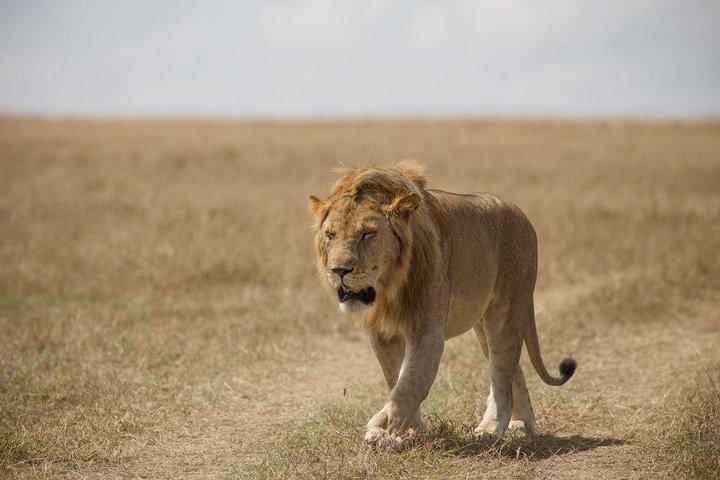 16 Days African Mountain Biking Cycling Safari Holiday Adventures